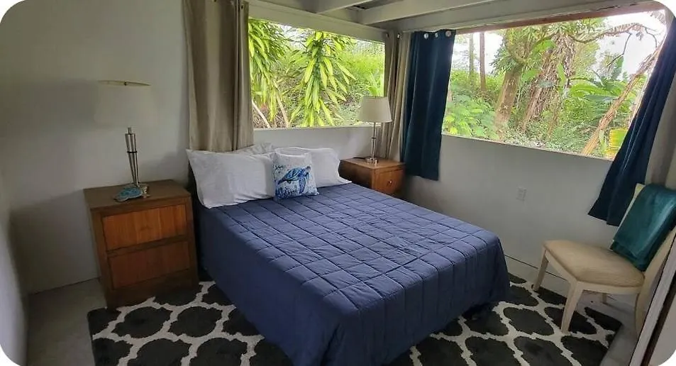 Rainforest Hideaway Pahoa